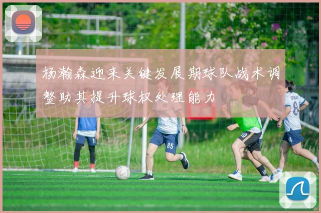 杨瀚森迎来关键发展期球队战术调整助其提升球权处理能力