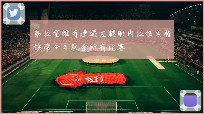 弗拉霍维奇遭遇左腿肌肉拉伤或将缺席今年剩余所有比赛