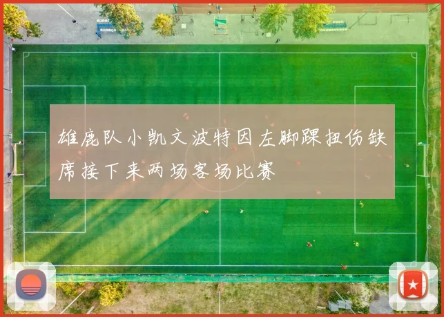 雄鹿队小凯文波特因左脚踝扭伤缺席接下来两场客场比赛